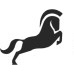 Silverhorse Technologies Logo