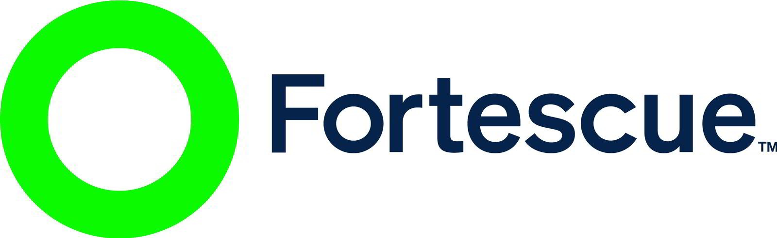 FMG / FFI Logo